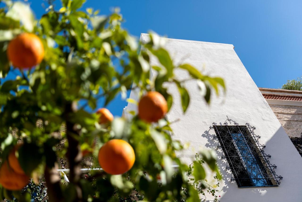 Pajaro Rebelde Bed & Breakfast Seville Ngoại thất bức ảnh